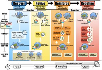 Restore or Redefine: Future Trajectories for Restoration